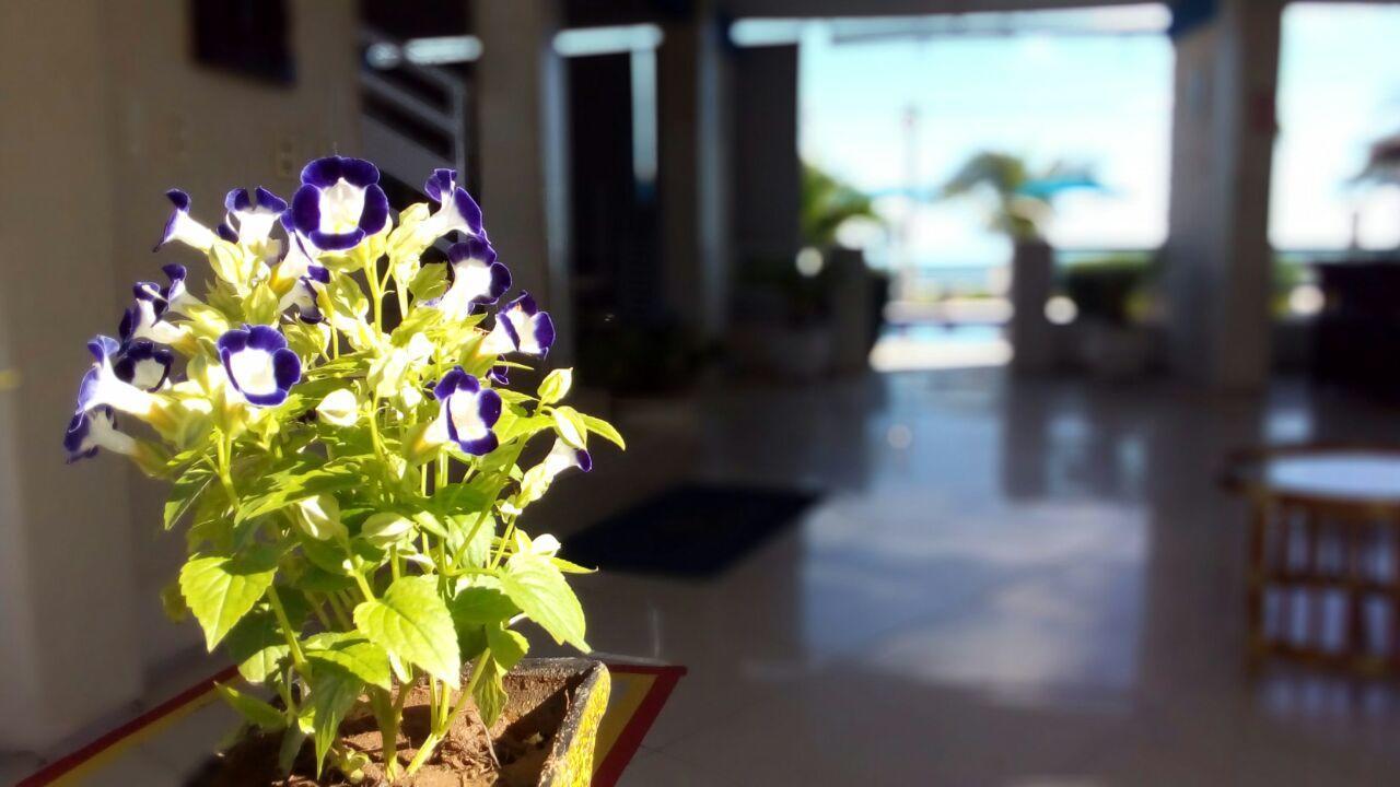 Brisa Mar Hotel เฟลเชรัซ ภายนอก รูปภาพ